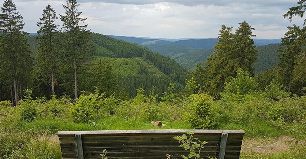 Vila Ferienhaus Astenblick - Ideal Fuer Weihnachtsfeiern Und Familienfeiern Bietet Schlafplaetze Fuer Bis Zu 35 Personen Winterberg Exteriér fotografie